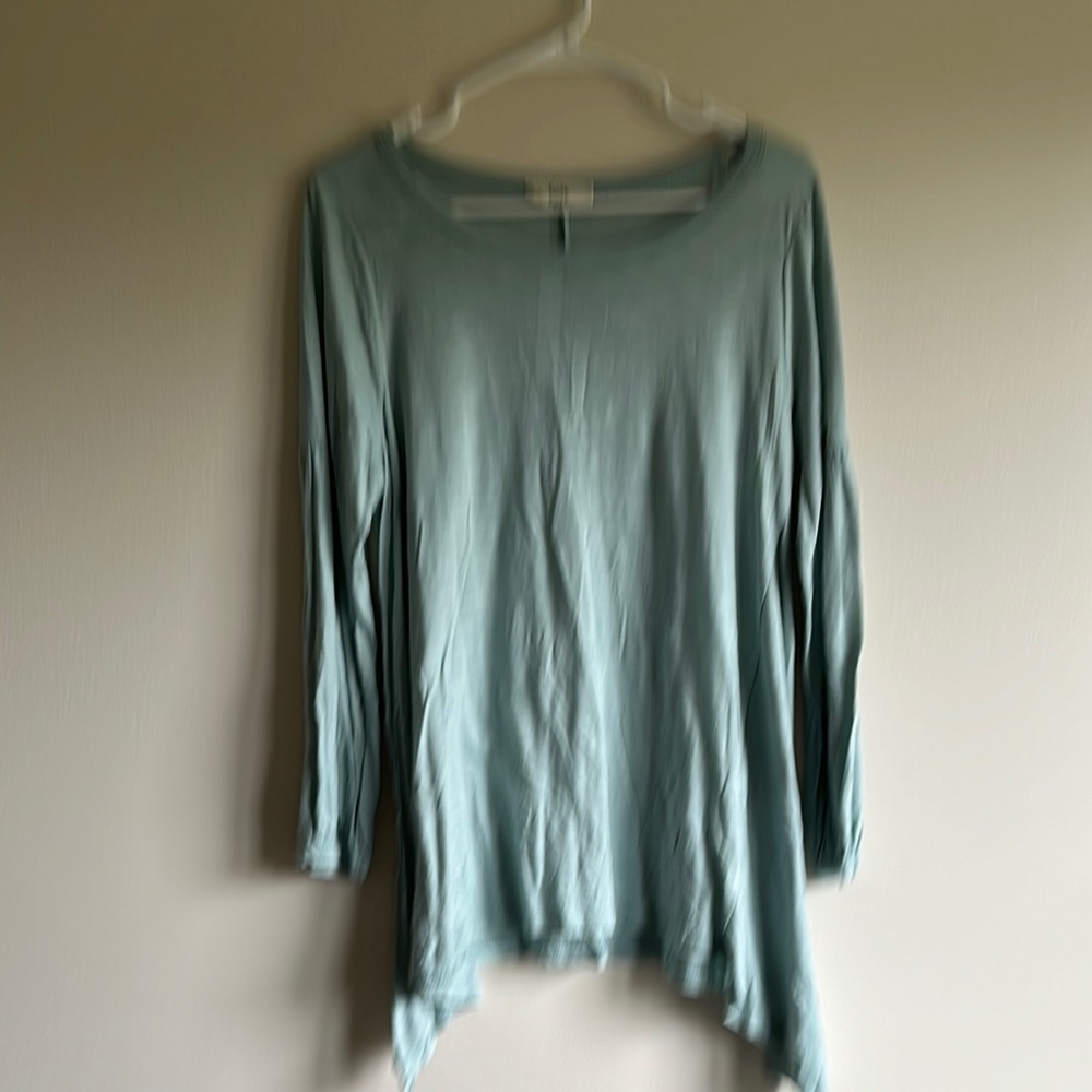Elegant teal Blue Long Sleeve tunic Top
